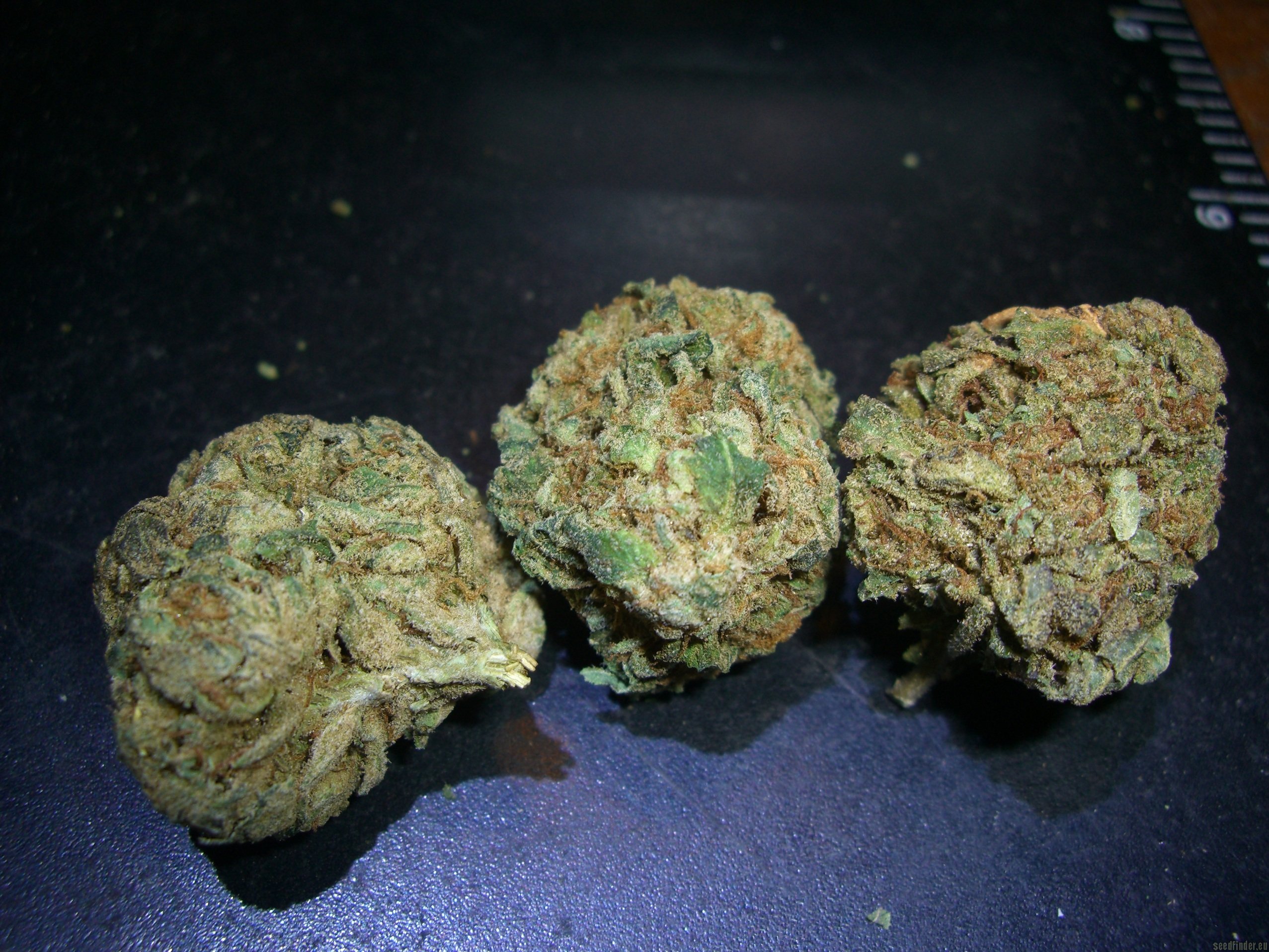 OG-18-Marijuana-Nugs-Bud